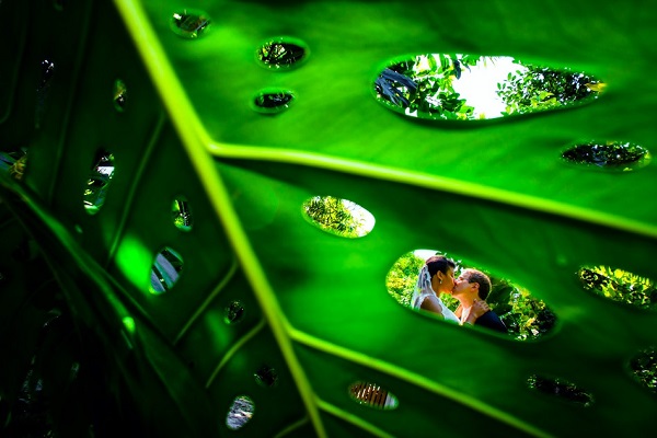 Chip Litherland best wedding photography Florida