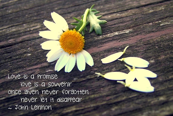 best love marriage quotes