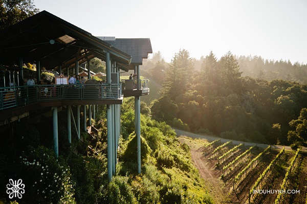 winery wedding