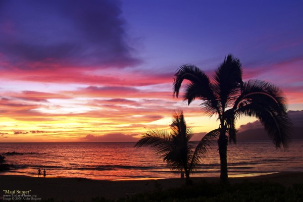 how-to-plan-hawaii-wedding