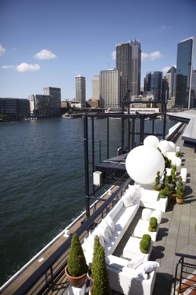 sydney-harbor-wedding